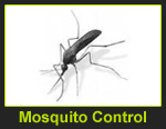Pest Control in Delhi NCR