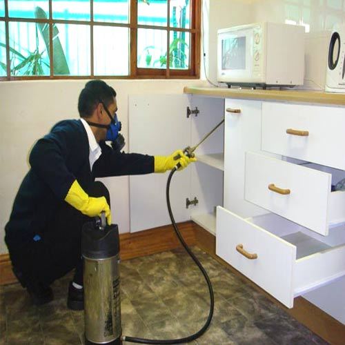 General Disinfestation in Delhi-Gurgaon General Disinfestation in Delhi-Gurgaon
